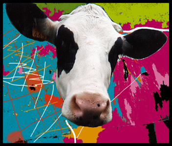 Somewhere in Switzerland