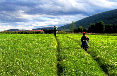 field of dreams, Rendal 