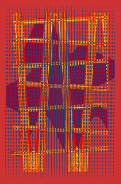 confined flower (my mola)