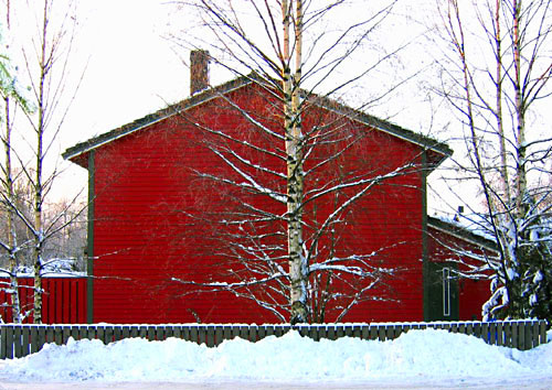 lonesome tree on Myrsletta