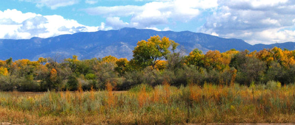 Fall colors by the river