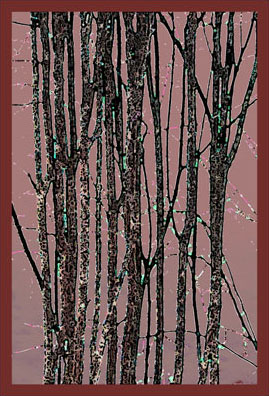 branches on Myrsletta